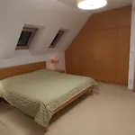 Gejzir 16 *