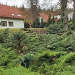 Gejzir 16 *