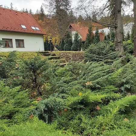 Gejzir 16 *