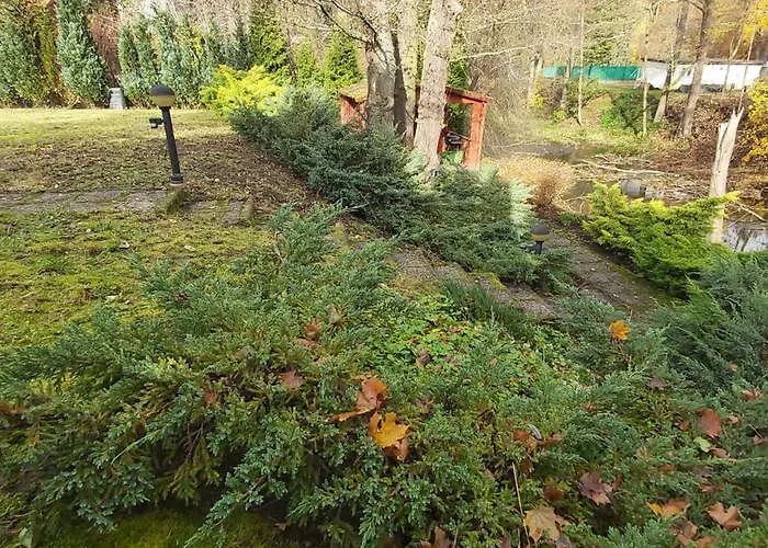 Gejzir 16